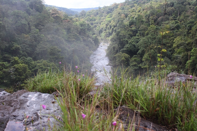 Hang En Waterfall K50 Waterfall kon chu rang gia lai vietnam (1)