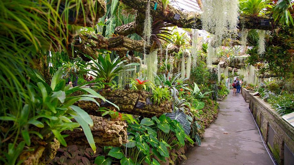 Montreal Botanical Garden 4