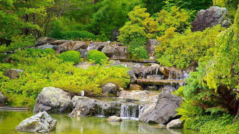 Montreal Botanical Garden 5