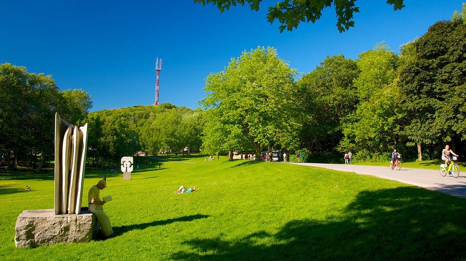 mount royal park montreal 2