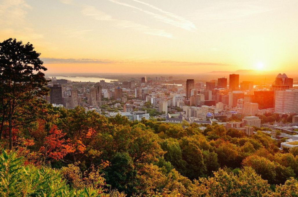 sunrise Montreal from above Mont Royal 2