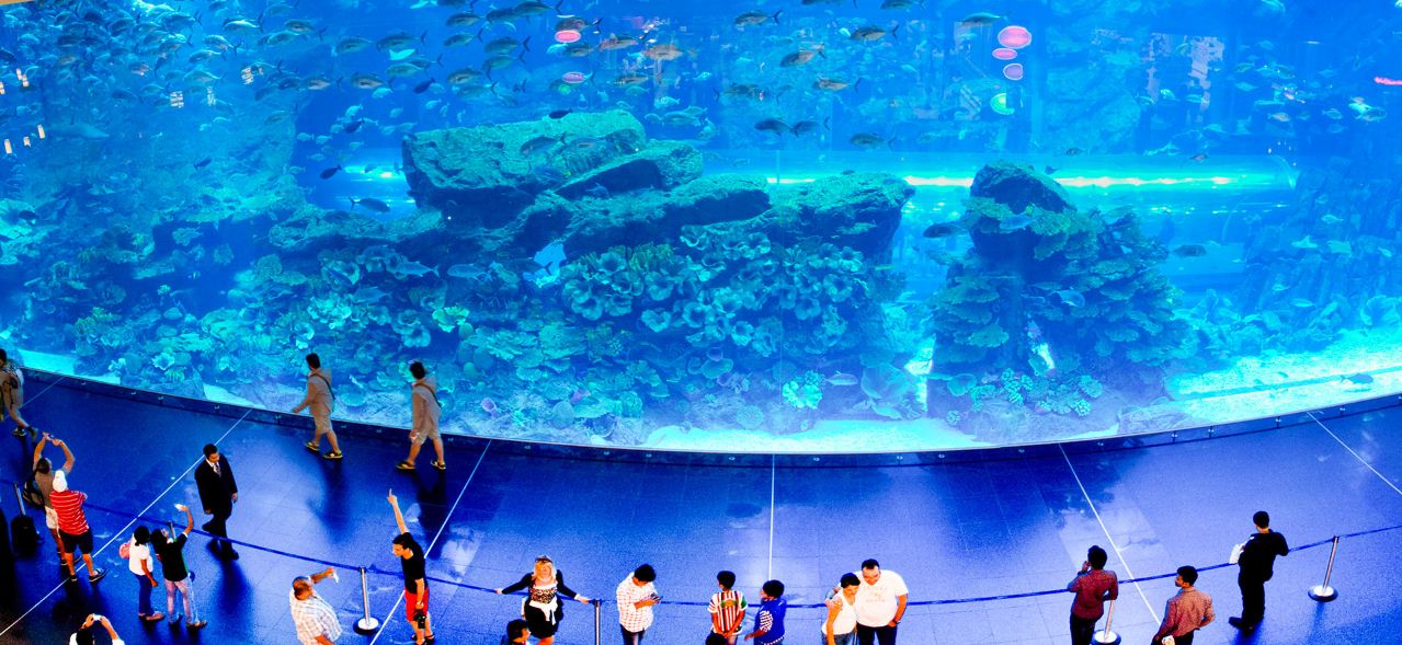 aquarium dubai malls shops (4)