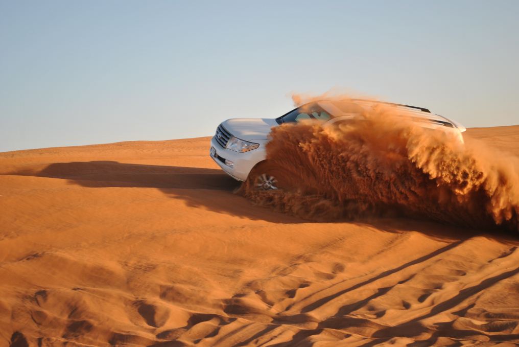 dubai sahara desert tour (2)