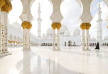 14+ most famous & best places to visit in Abu Dhabi, UAE sheikh zayed mosque dubai (1)