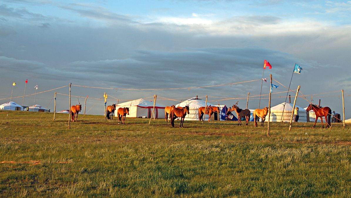 gobi grassland