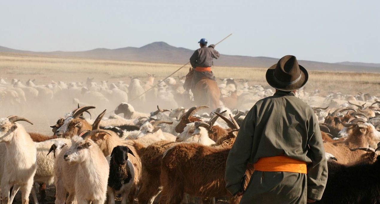 nomadic life of mongolian
