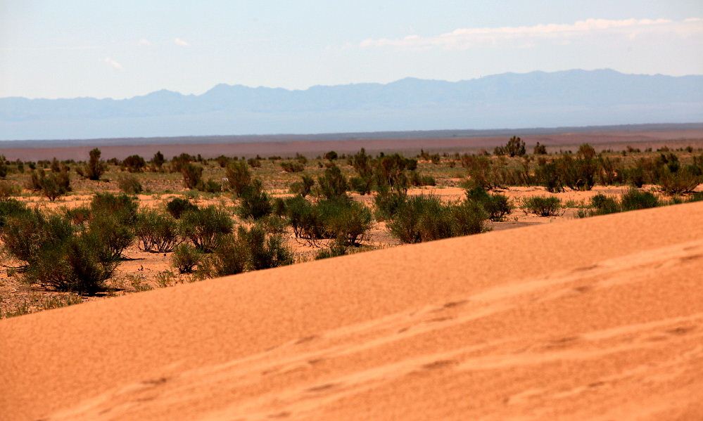 riding gobi desert 24