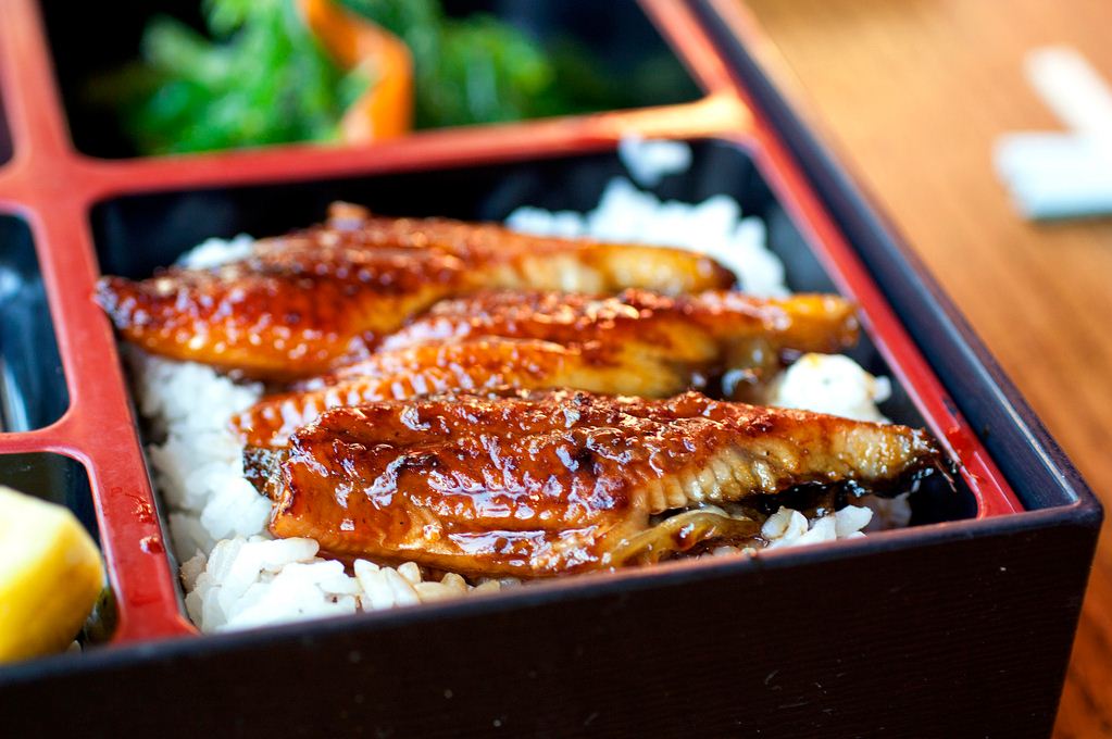 unagi eel japan how to cook unagi unagi sauce (1)
