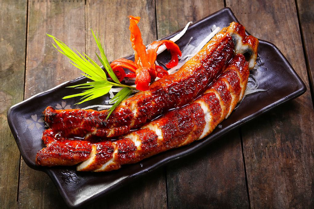 unagi eel japan how to cook unagi unagi sauce (1)