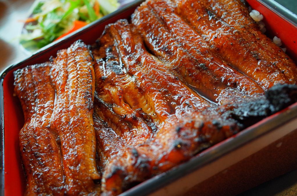 unagi eel japan how to cook unagi unagi sauce (1)