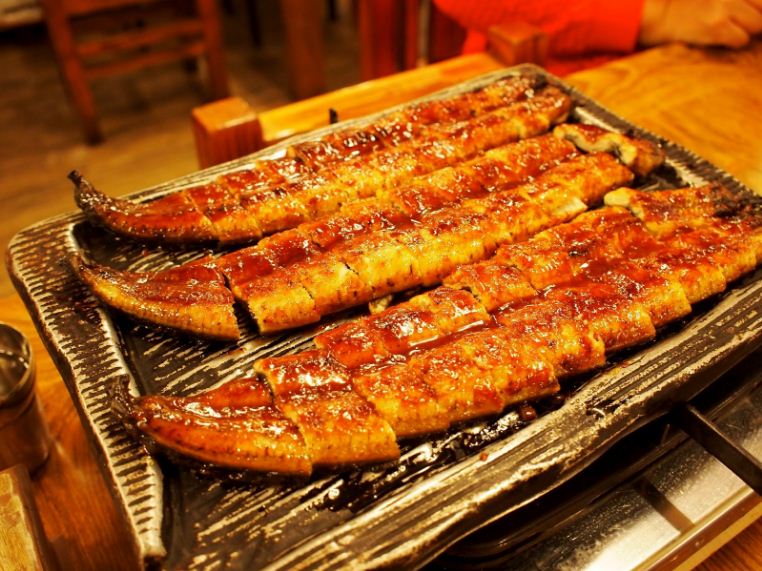 unagi eel japan how to cook unagi unagi sauce (1)