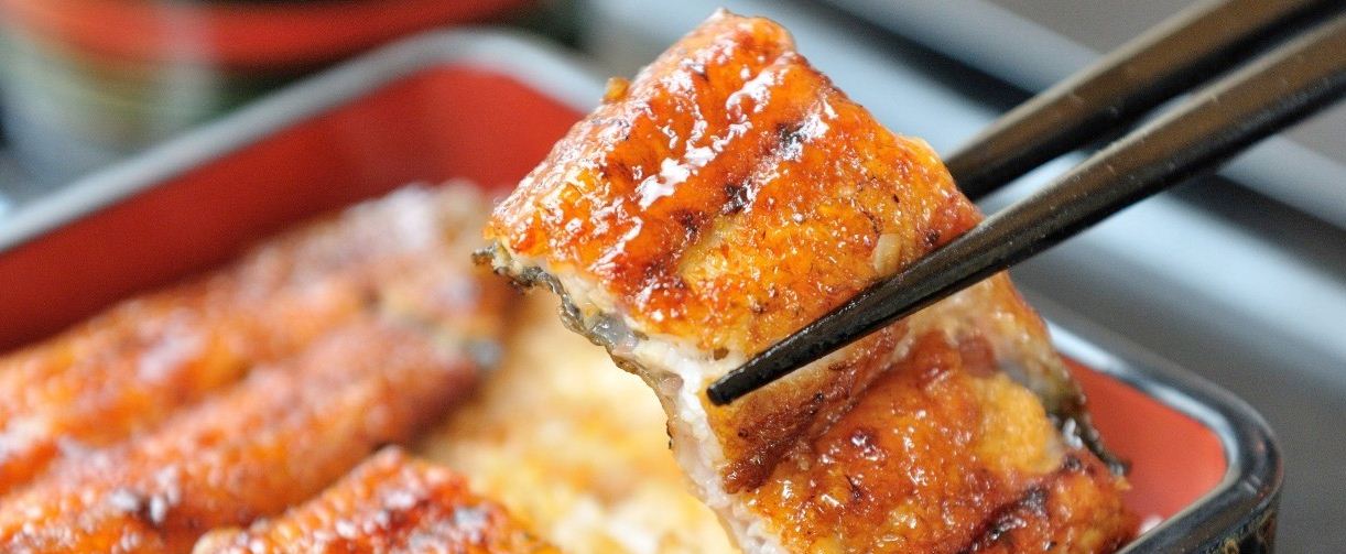 unagi eel japan how to cook unagi unagi sauce (1)