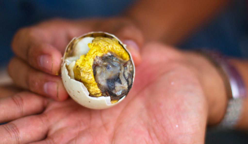 Trung vit lon (Balut), one of the weird Vietnamese foods
