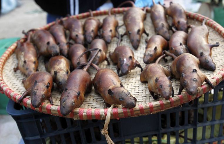 Mice meat, one of the weird Vietnamese foods