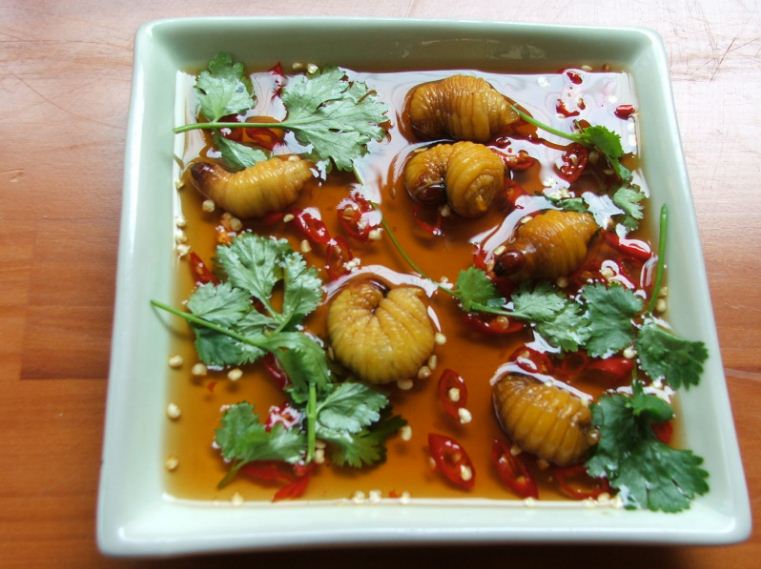 vietnamese coconut worm (1)