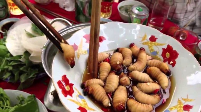 vietnamese coconut worm (1)