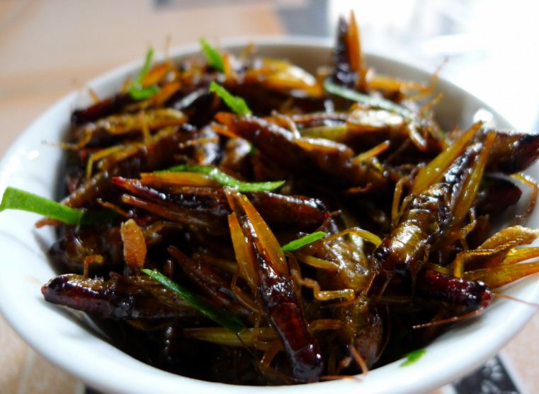 vietnamese insects dishes (1)