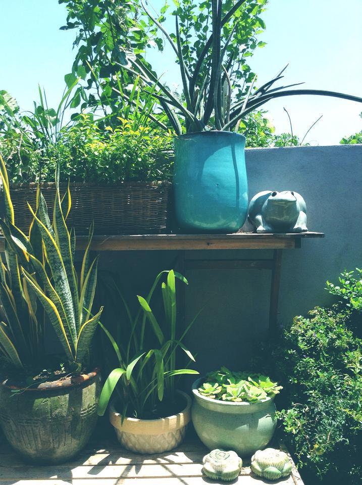Maison De Tau- best homestay in hoi an-quang nam2