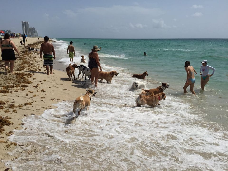 Haulover Beach Florida