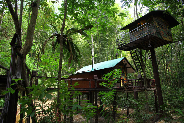 Khao-sok national park tree houses in Khao Sok National Park
