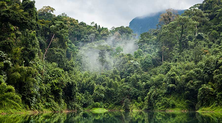 Khao-sok national park