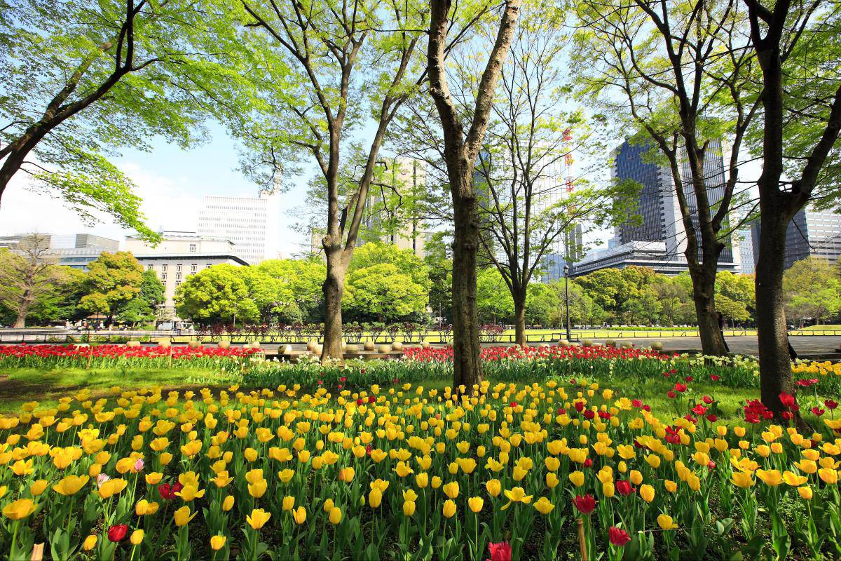 Hibiya-koen-Park-Tokyo Image of Tokyo suggested itinerary blog.