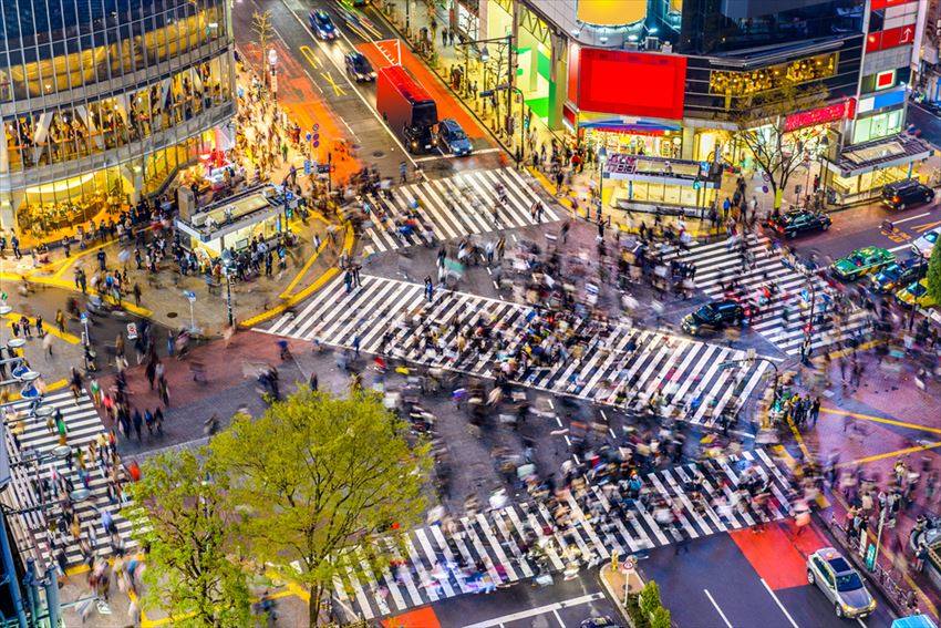 Shibuya Avenue, Tokyo how to get from tokyo airport to city,how to get from tokyo airport to city centre,how to get from tokyo haneda airport to city,
