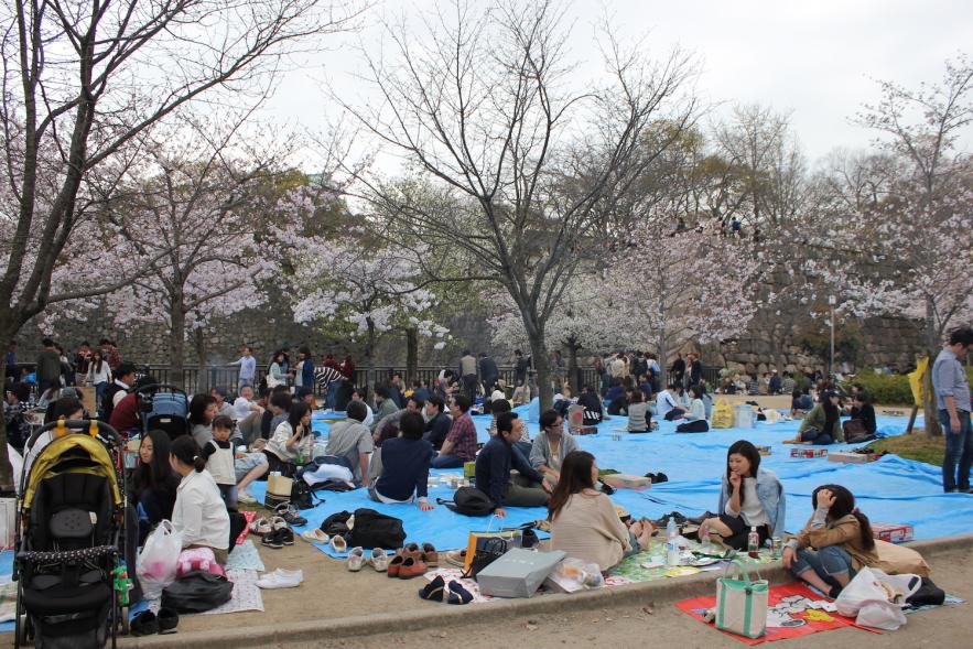 Osaka Castle, Osaka