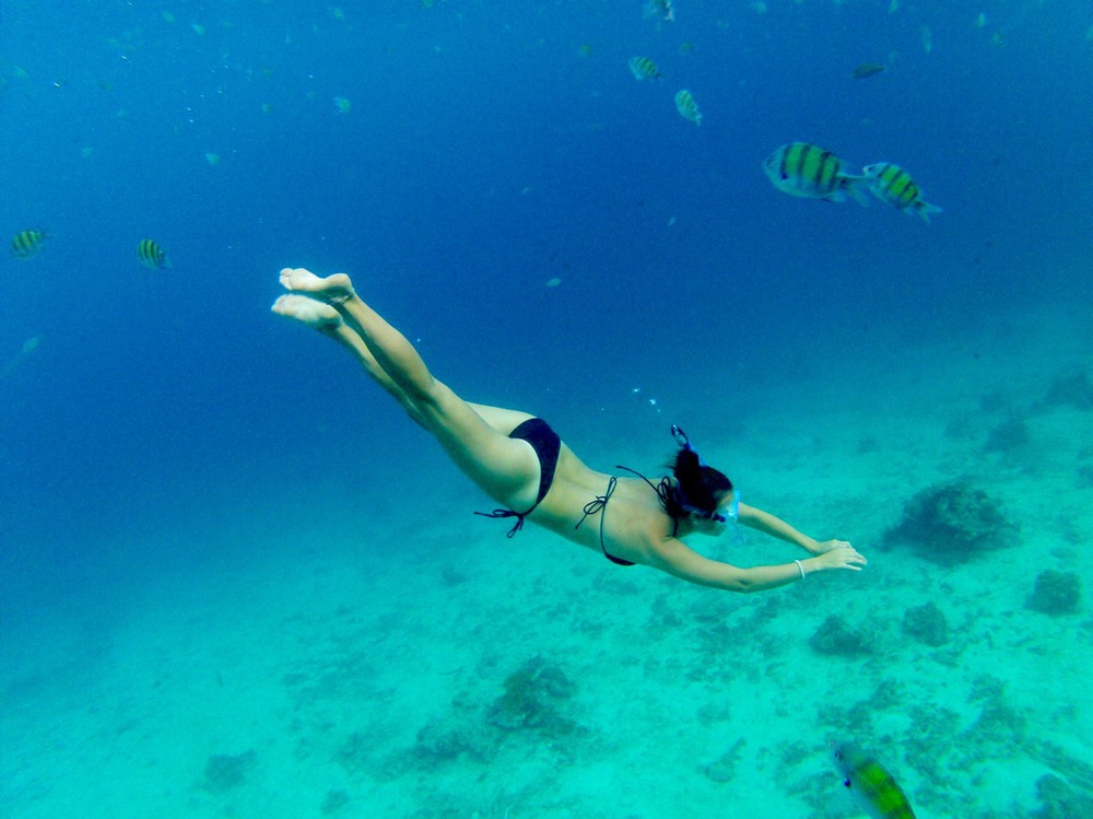 Diving in Maya Bay