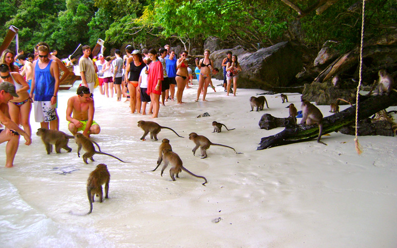 Monkey Beach in Koh Phi Phi3