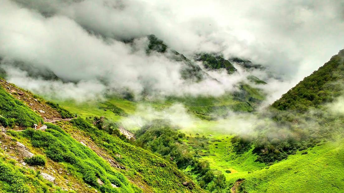 1valley of flowers india bhyundar valley how to reach valley of flowers (2)