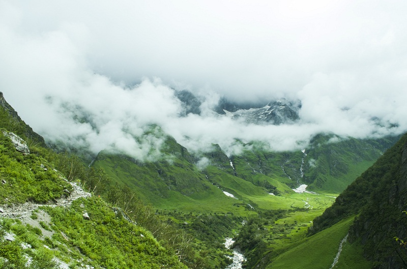 valley of flowers india bhyundar valley how to reach valley of flowers (1)