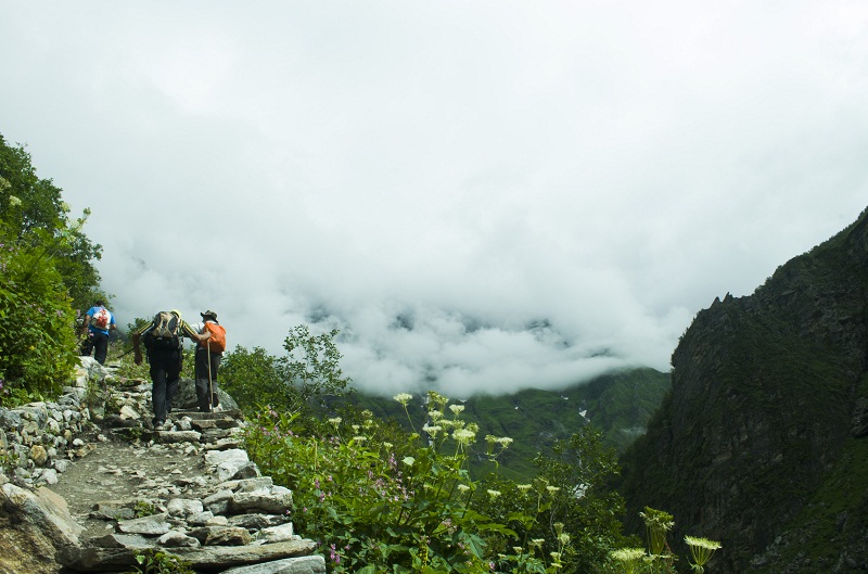 valley of flowers india bhyundar valley how to reach valley of flowers (1)