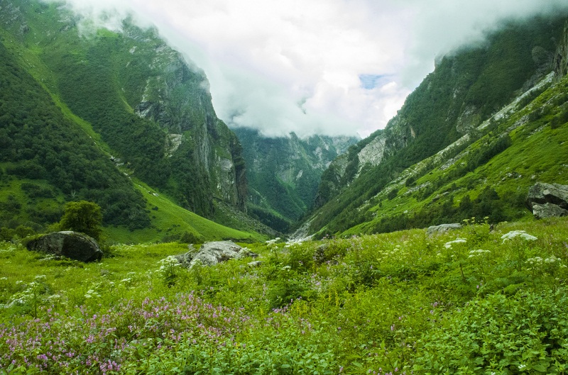 valley of flowers india bhyundar valley how to reach valley of flowers (1)