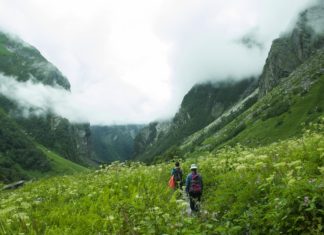valley of flowers india bhyundar valley how to reach valley of flowers (1)