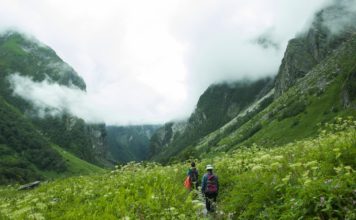 valley of flowers india bhyundar valley how to reach valley of flowers (1)