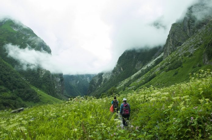 valley of flowers india bhyundar valley how to reach valley of flowers (8) valley of flowers india bhyundar valley how to reach valley of flowers (1)