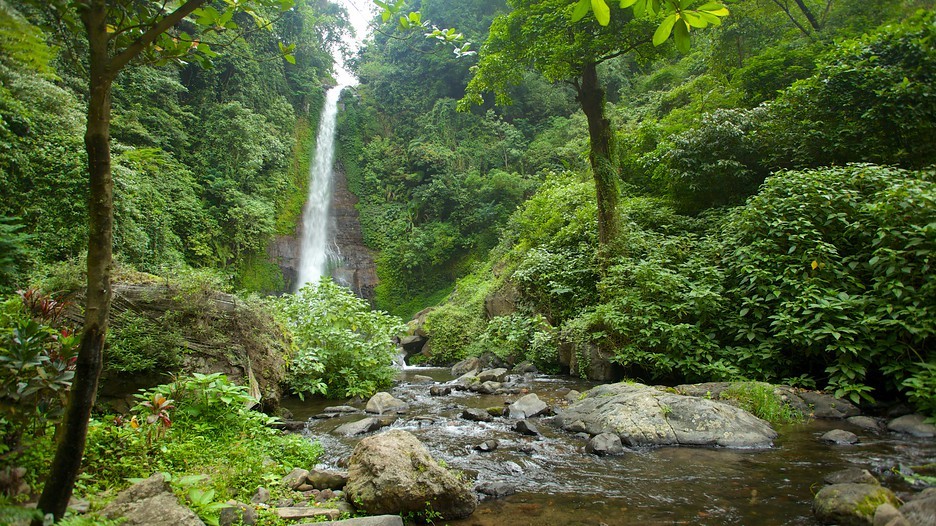 Gitfit waterfall bali2