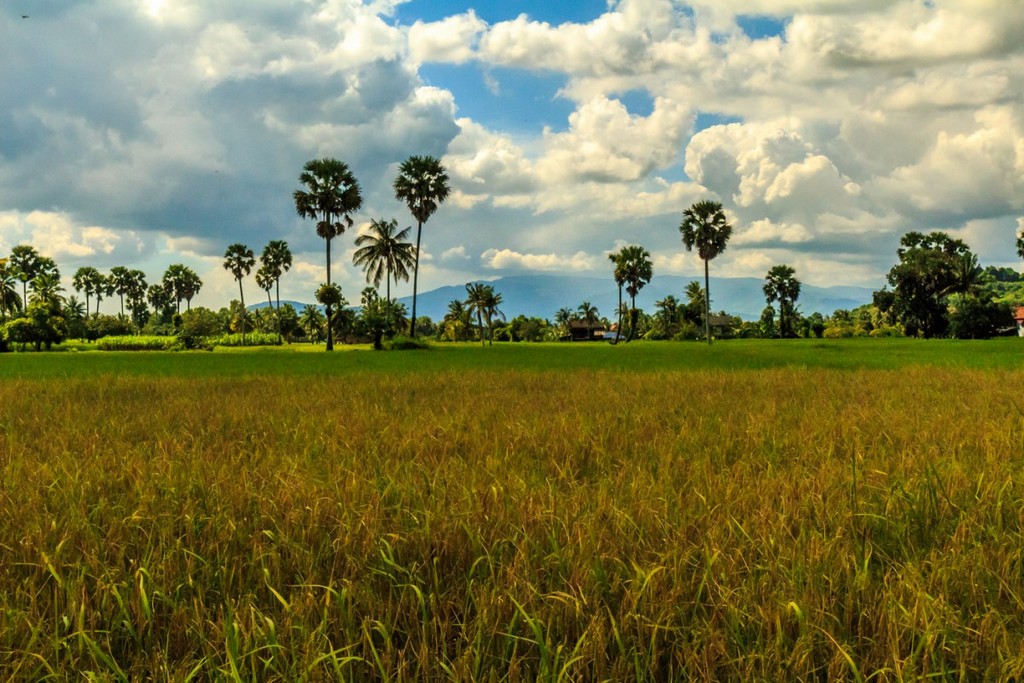 Kampot-countryside-2389-1200x800