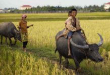 Kampot province, one of the best places to visit in Cambodia