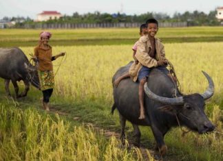 Kampot province, one of the best places to visit in Cambodia