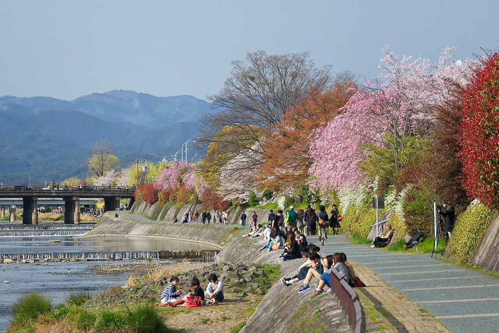 Kamogawa River, Kyoto how to get to kyoto from tokyo how to get from tokyo to kyoto how to travel from tokyo to kyoto