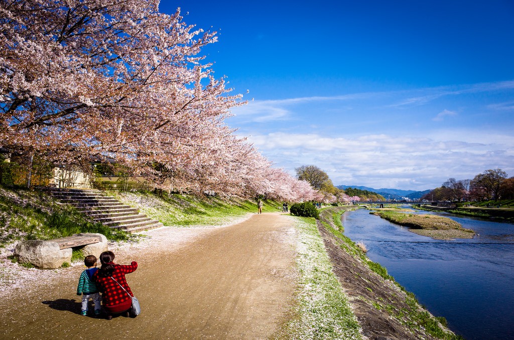Kamogawa River, Kyoto2 Credit: cool things to do in Kyoto blog.