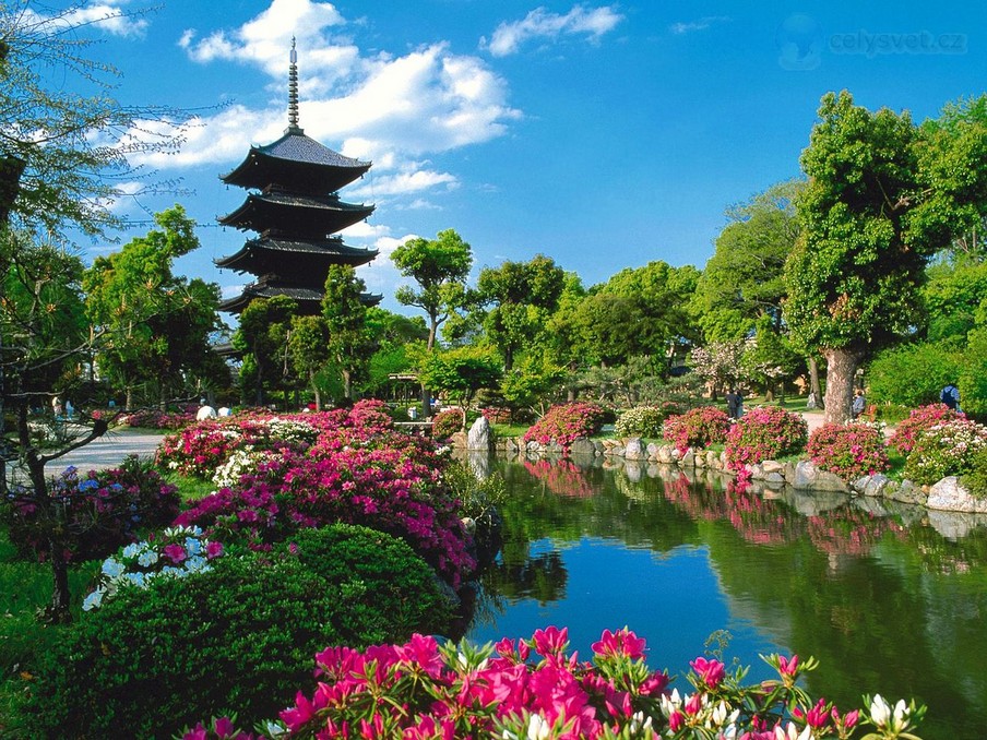 Toji temple, Kyoto Credit: Top cool things to do in Kyoto blog.