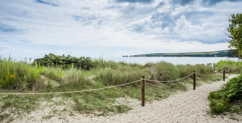 Studland beach, Dorset, England (2)