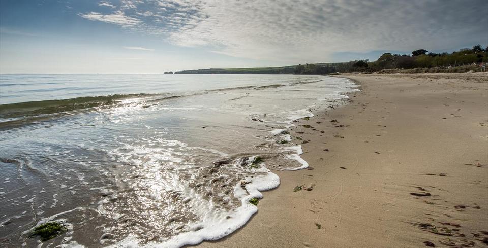 Studland beach, Dorset, England (3)