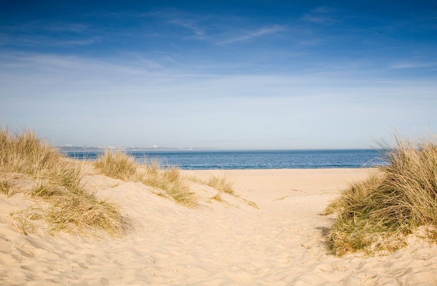 Studland beach, Dorset, England (4)