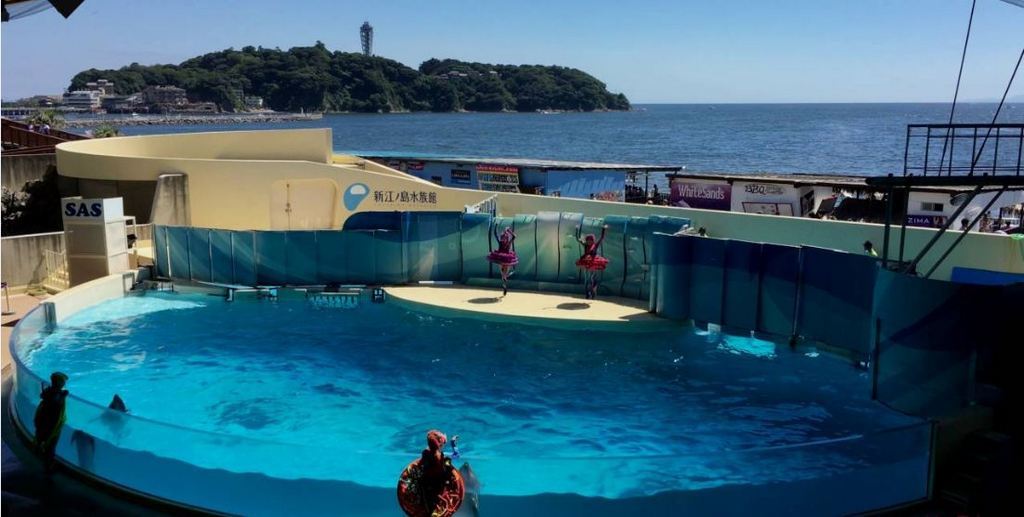 Enoshima Aquarium tokyo4