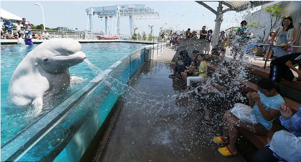 Hakkeijima Sea Paradise tokyo best aquarium in tokyo tokyo aquarium tokyo aquarium japan