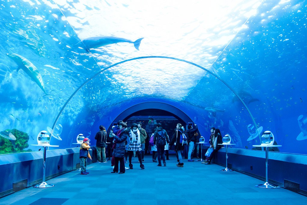 Hakkeijima Sea Paradise tokyo1 best aquarium in tokyo tokyo aquarium tokyo aquarium japan